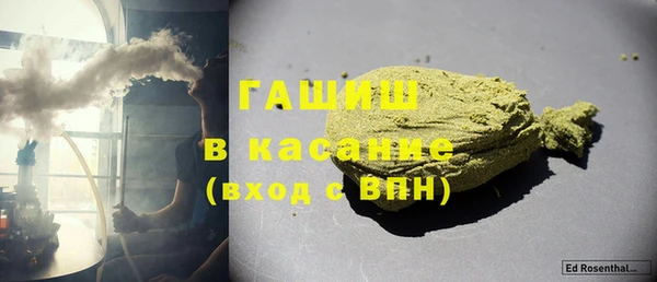 индика Богданович