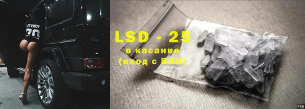 индика Богданович