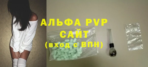 индика Богданович
