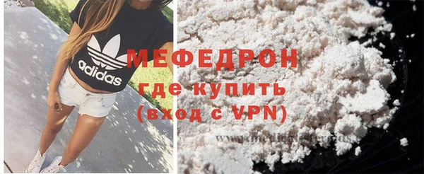 индика Богданович