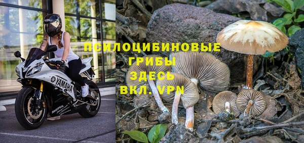 спиды Бронницы