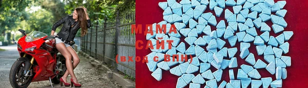 индика Богданович