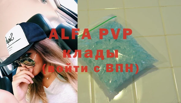 индика Богданович